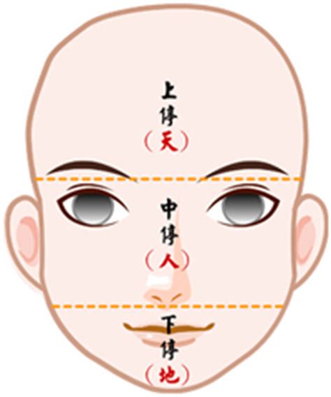 75部位流年表|【面相館】流年法 (流年法的計算、通行流年法、流年。